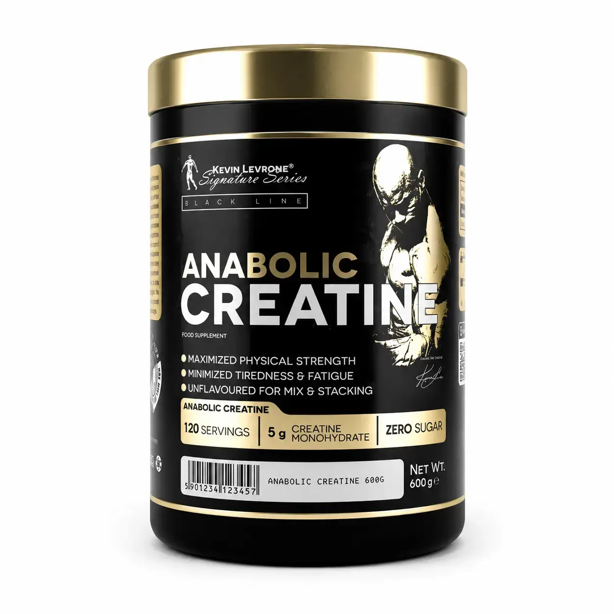 BQ Kevin Levrone Anabolic Creatine, 600 g