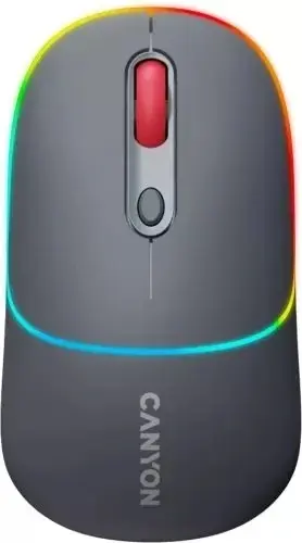 Мышь беспроводная Canyon CNS-CMSW22DG Black