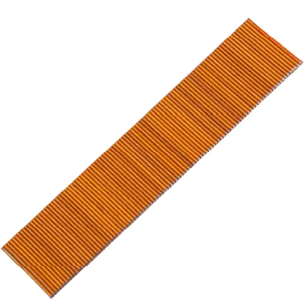 Itlar bilan jinsiy aloqa