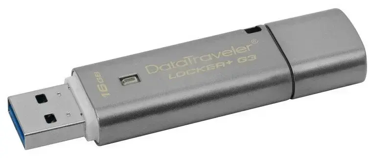 Kingston DTLPG3/16GB flesh disk