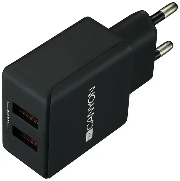 Сетевое зарядное устройство Canyon CNE-CHA03 Black